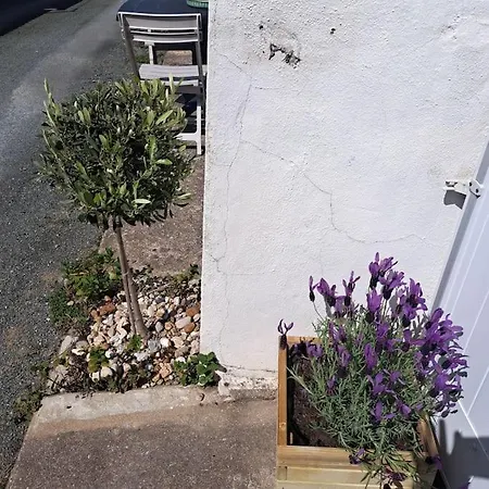 Maison De Pecheur Au Calme Vakantiehuis *