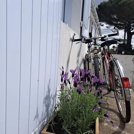 Maison De Pecheur Au Calme Vakantiehuis *